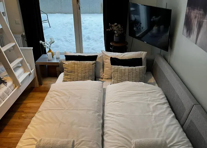 - Pool & Sauna * Voss